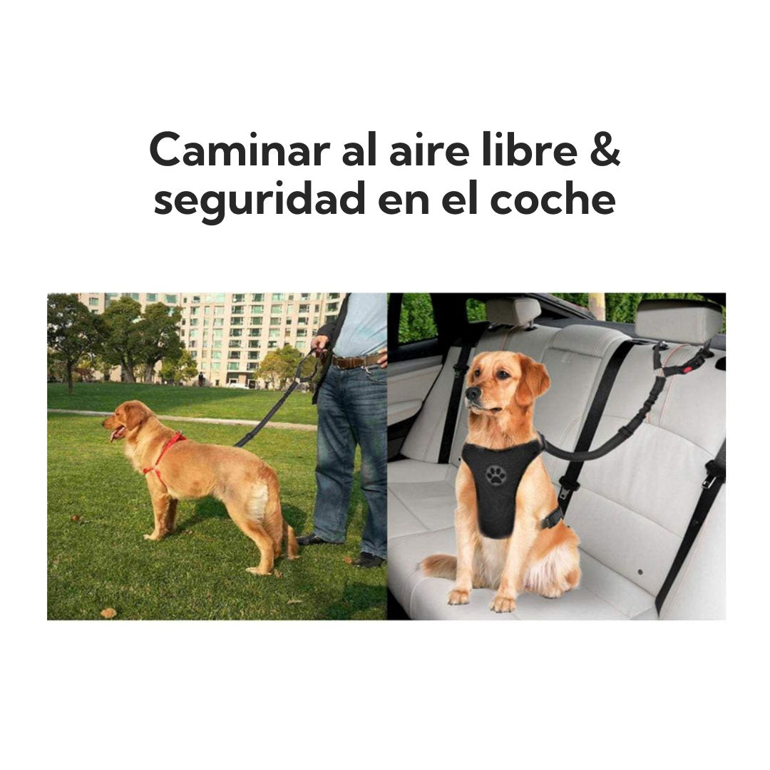 Correa de Seguridad para Mascotas Auto – Pro Outdoor