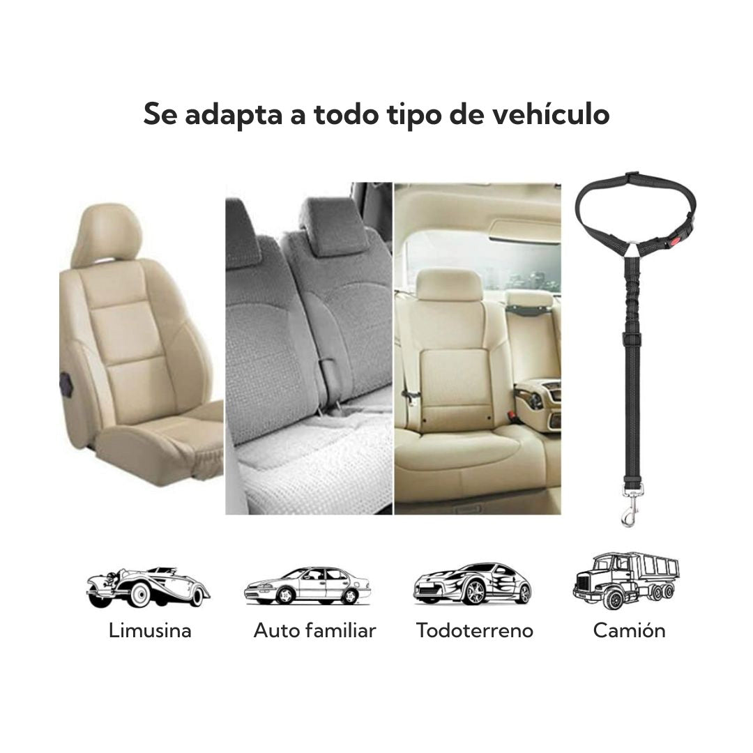Correa de Seguridad para Mascotas Auto – Pro Outdoor