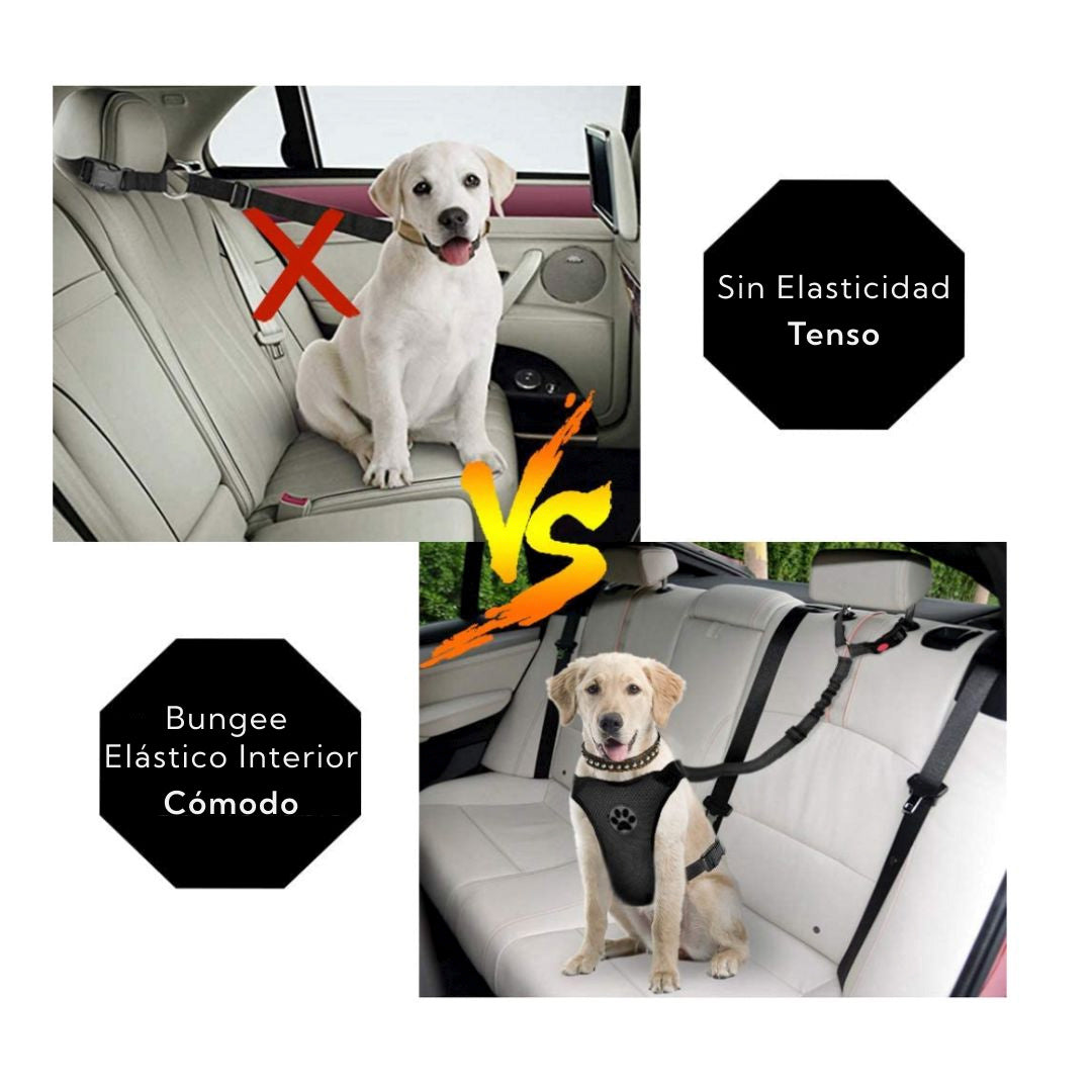 Correa de Seguridad para Mascotas Auto – Pro Outdoor