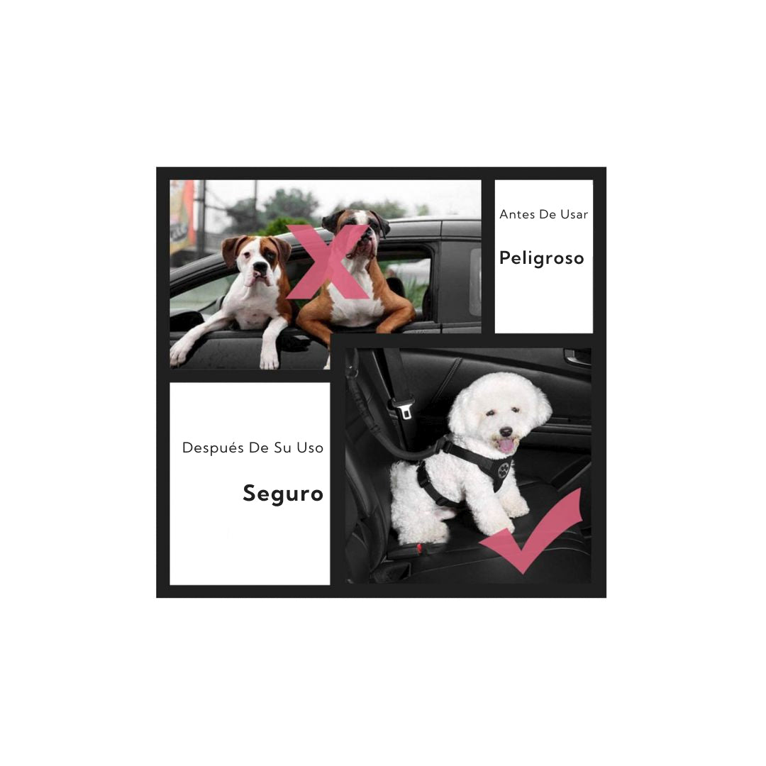 Correa de Seguridad para Mascotas Auto – Pro Outdoor