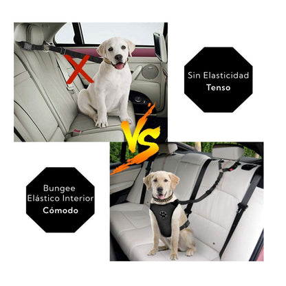 Correa de Seguridad para Mascotas Auto – Pro Outdoor