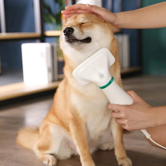 Secador de Pelo Eléctrico Para Mascotas